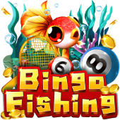 Câu Cá Bingo q88h