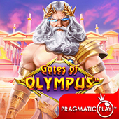 Cổng Olympus q88h